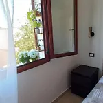 Orchidea 3*