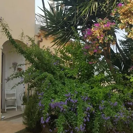 Bed and breakfast Orchidea