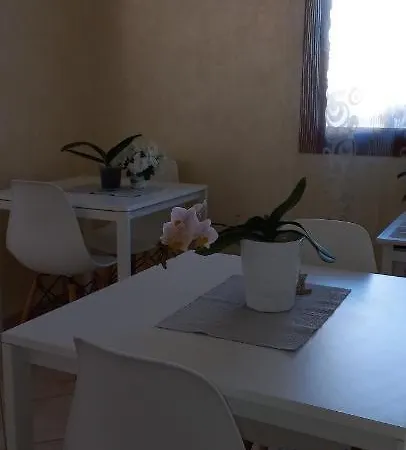 Orchidea * Olbia
