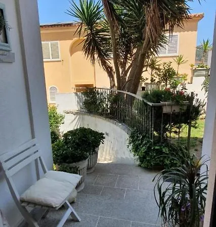 Orchidea オルビア