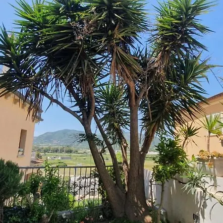 Orchidea 3* Olbia